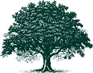 Wilcox-tree-dk-green
